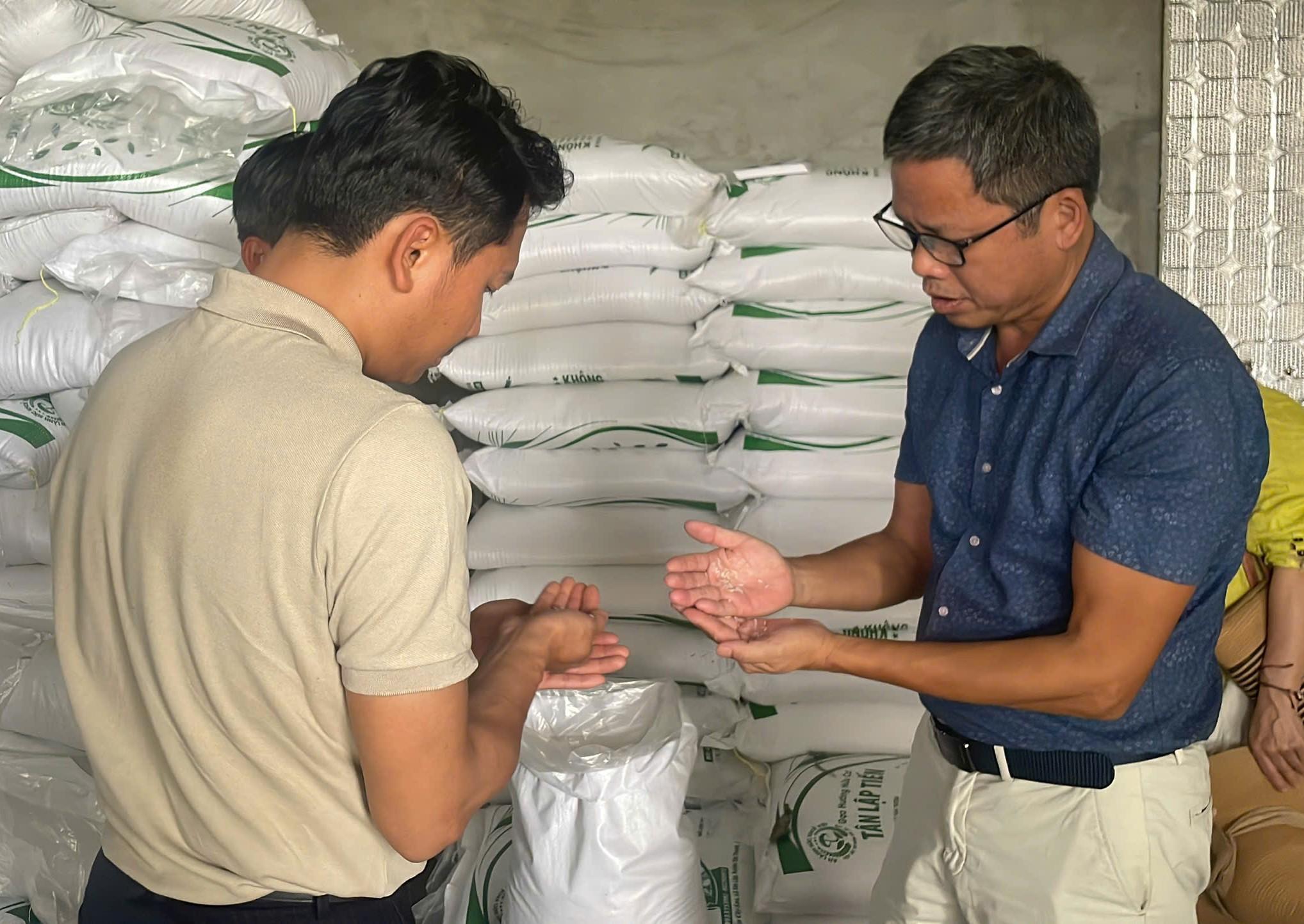 Farmers examining rice quality
