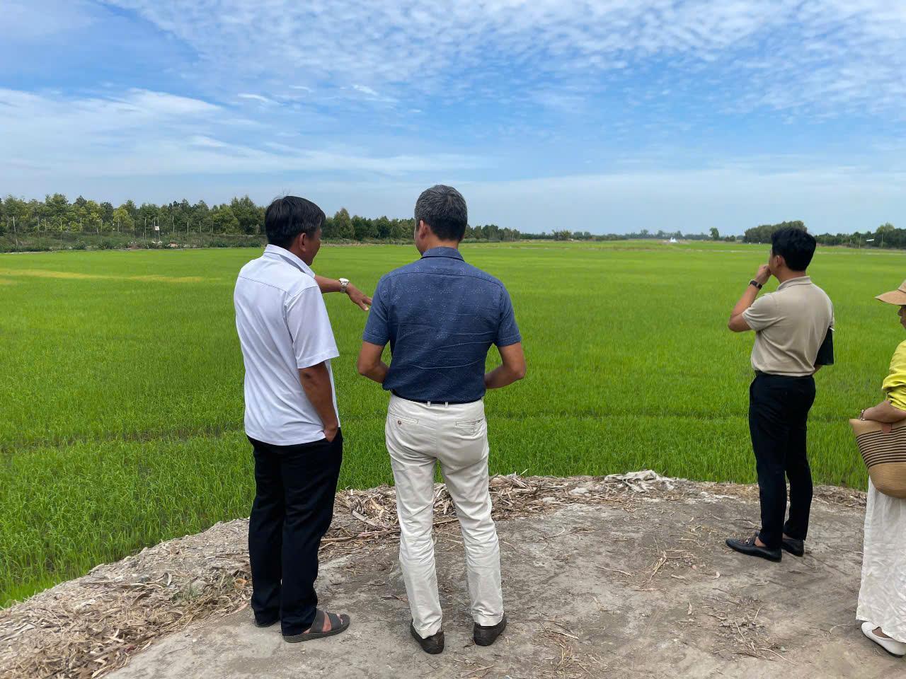 Phương Pháp Canh Tác Bền Vững Được Ghi Nhận